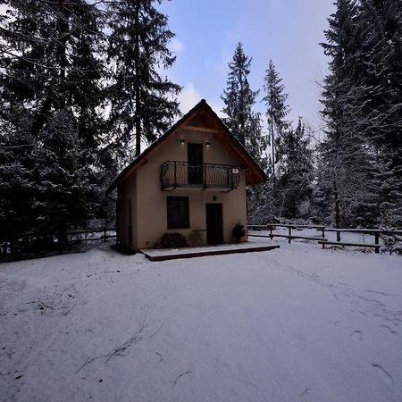 Chata Pod Skocznia Wisla Malinka Villa Exterior photo